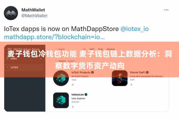 麦子钱包冷钱包功能 麦子钱包链上数据分析：洞察数字货币资产动向