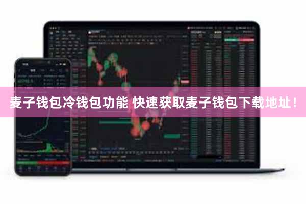 麦子钱包冷钱包功能 快速获取麦子钱包下载地址！