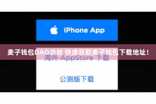 麦子钱包DAO功能 快速获取麦子钱包下载地址！
