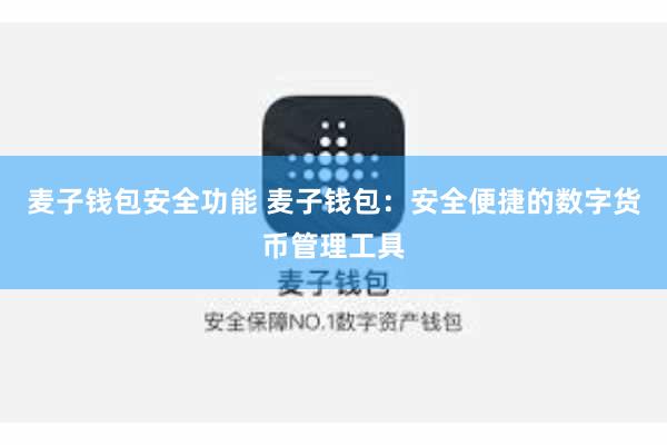 麦子钱包安全功能 麦子钱包：安全便捷的数字货币管理工具
