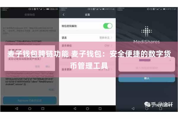 麦子钱包跨链功能 麦子钱包：安全便捷的数字货币管理工具
