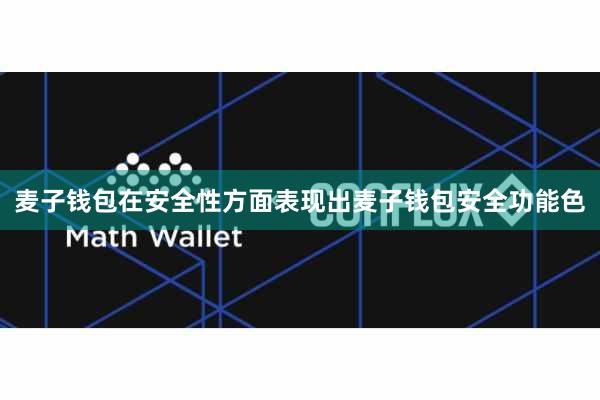 麦子钱包在安全性方面表现出麦子钱包安全功能色