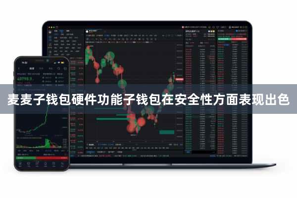 麦麦子钱包硬件功能子钱包在安全性方面表现出色