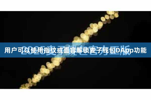 用户可以使用指纹或面容解锁麦子钱包DApp功能