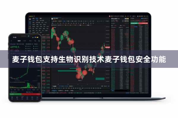 麦子钱包支持生物识别技术麦子钱包安全功能