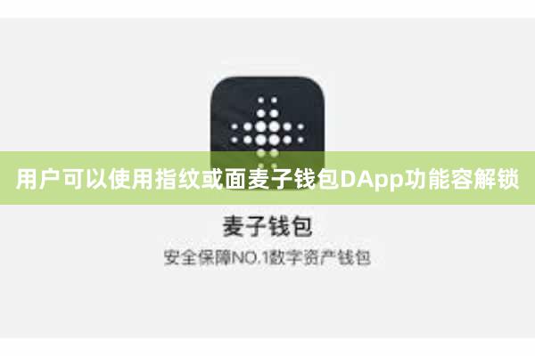 用户可以使用指纹或面麦子钱包DApp功能容解锁