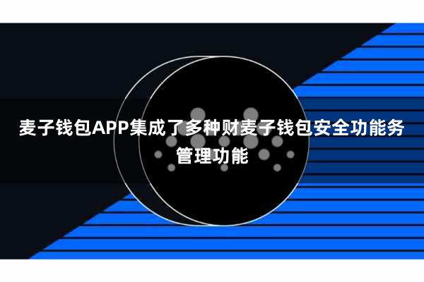麦子钱包APP集成了多种财麦子钱包安全功能务管理功能