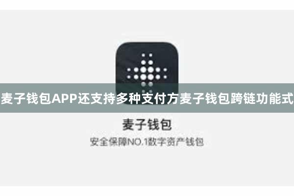 麦子钱包APP还支持多种支付方麦子钱包跨链功能式