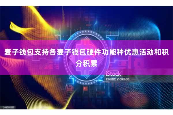 麦子钱包支持各麦子钱包硬件功能种优惠活动和积分积累
