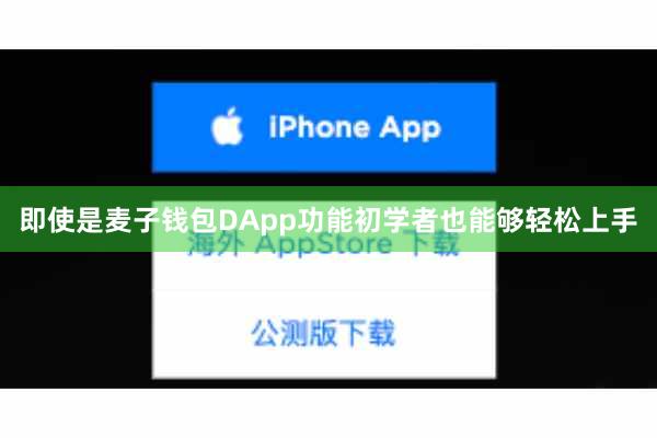 即使是麦子钱包DApp功能初学者也能够轻松上手