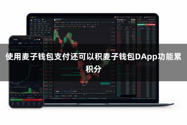 使用麦子钱包支付还可以积麦子钱包DApp功能累积分