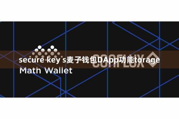 secure key s麦子钱包DApp功能torage