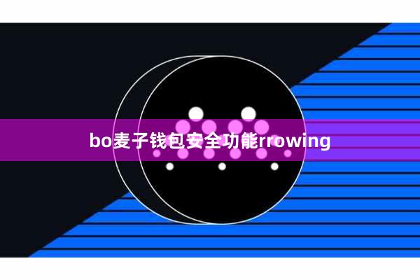 bo麦子钱包安全功能rrowing
