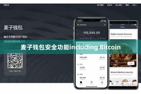 麦子钱包安全功能including Bitcoin