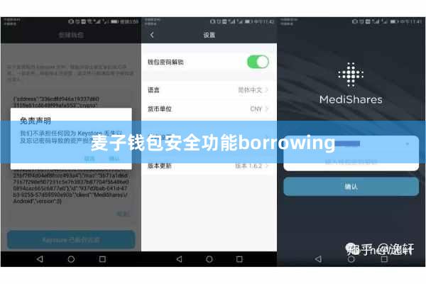 麦子钱包安全功能borrowing