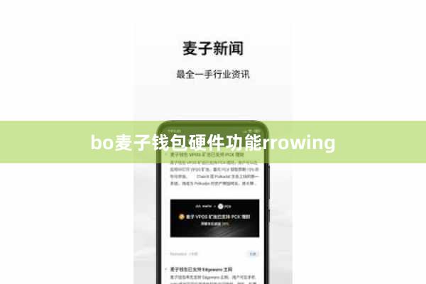 bo麦子钱包硬件功能rrowing