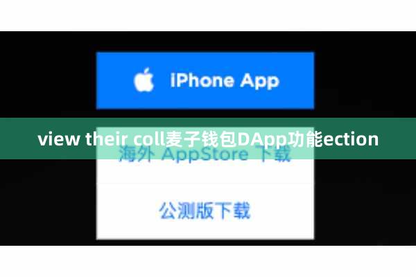 view their coll麦子钱包DApp功能ection