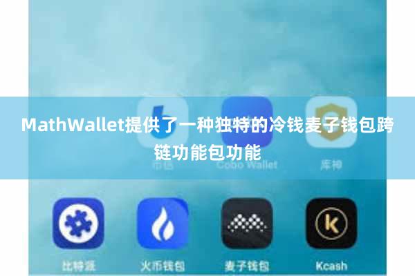 MathWallet提供了一种独特的冷钱麦子钱包跨链功能包功能
