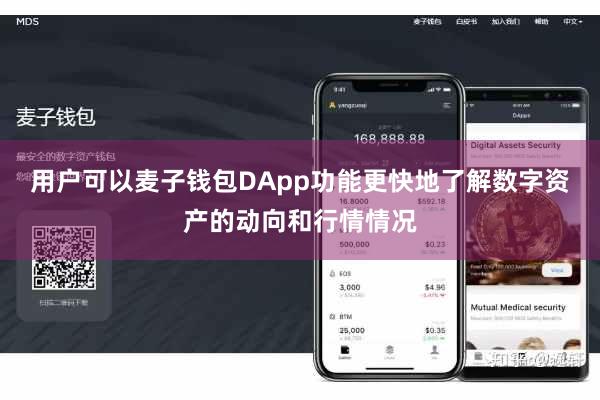 用户可以麦子钱包DApp功能更快地了解数字资产的动向和行情情况