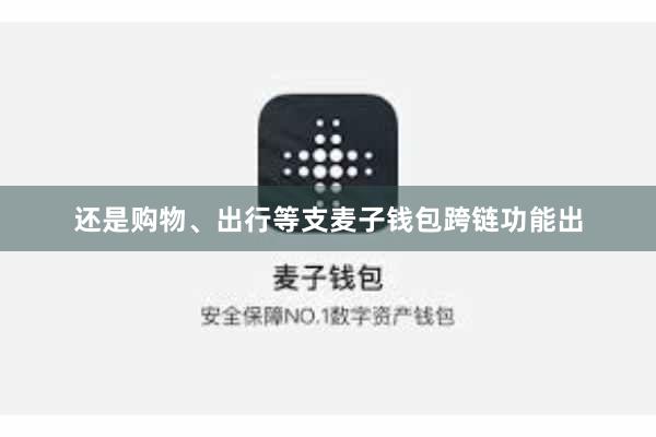 还是购物、出行等支麦子钱包跨链功能出