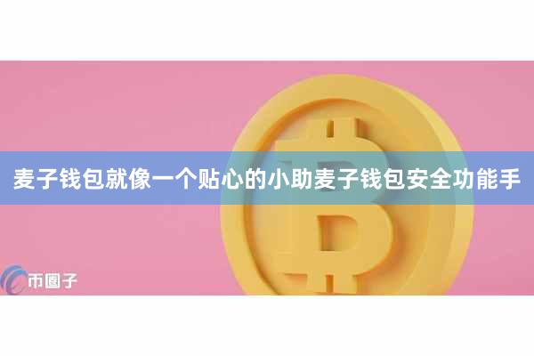 麦子钱包就像一个贴心的小助麦子钱包安全功能手