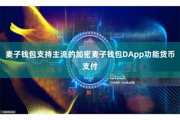 麦子钱包支持主流的加密麦子钱包DApp功能货币支付
