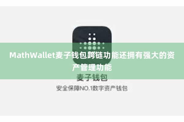 MathWallet麦子钱包跨链功能还拥有强大的资产管理功能