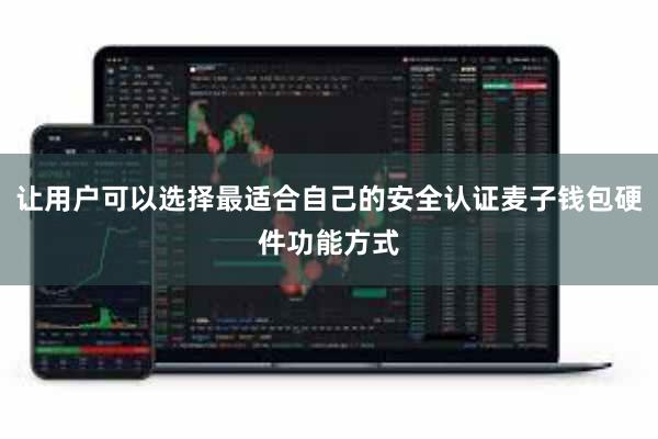 让用户可以选择最适合自己的安全认证麦子钱包硬件功能方式