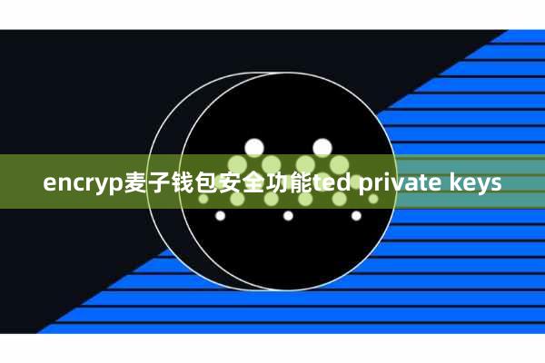 encryp麦子钱包安全功能ted private keys